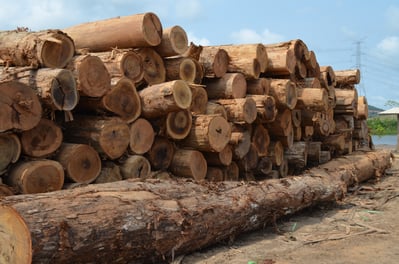 recently harvested logs are responsibly harvested