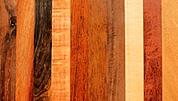 exotic wood species 