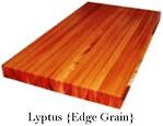 Lyptus Custom Wood Countertop